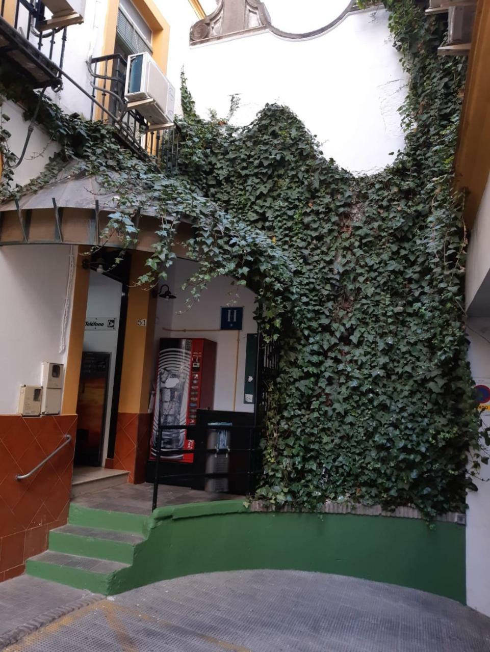 Hostal Alcobia Seville Exterior photo